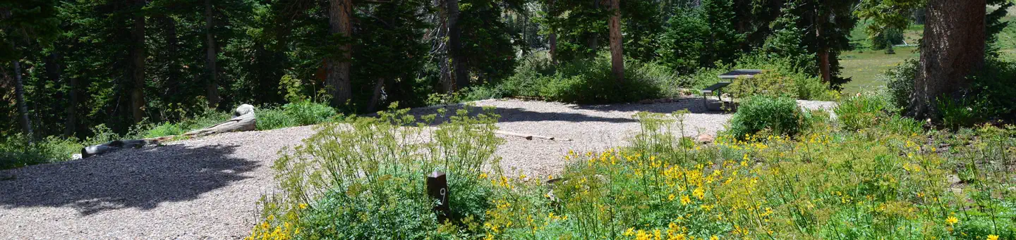 Point Supreme Campground