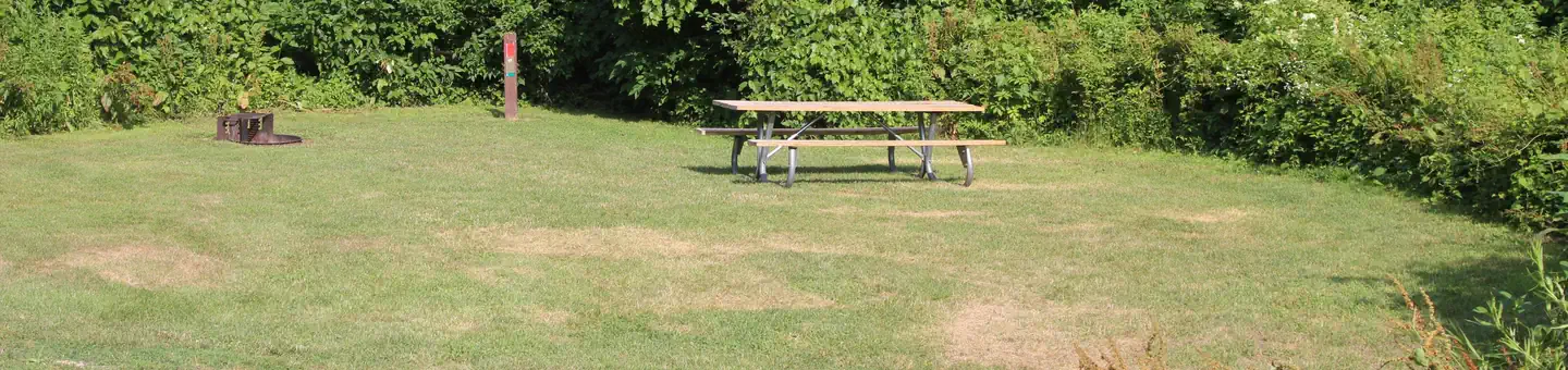 Winhall Brook Camping Area