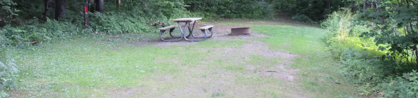 Winhall Brook Camping Area