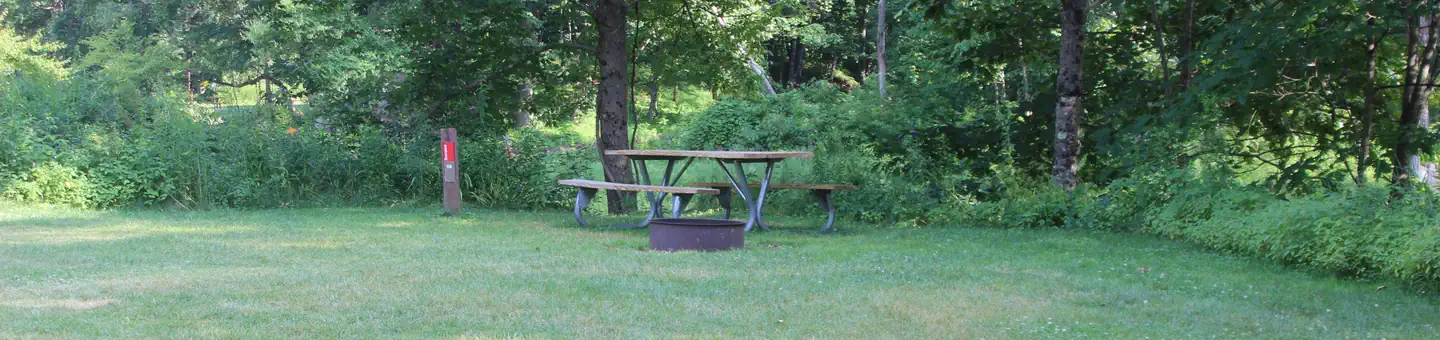 Winhall Brook Camping Area