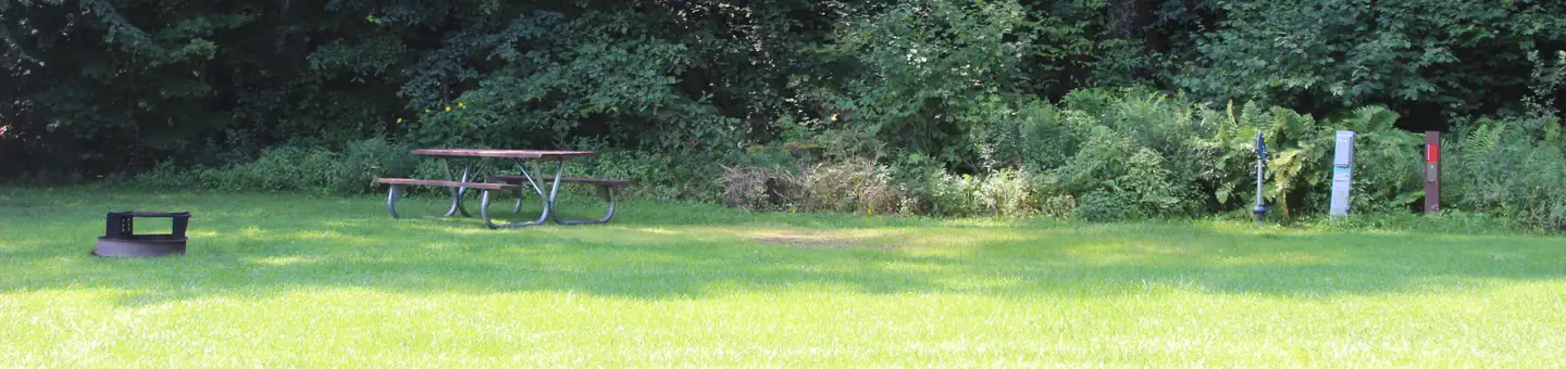 Winhall Brook Camping Area