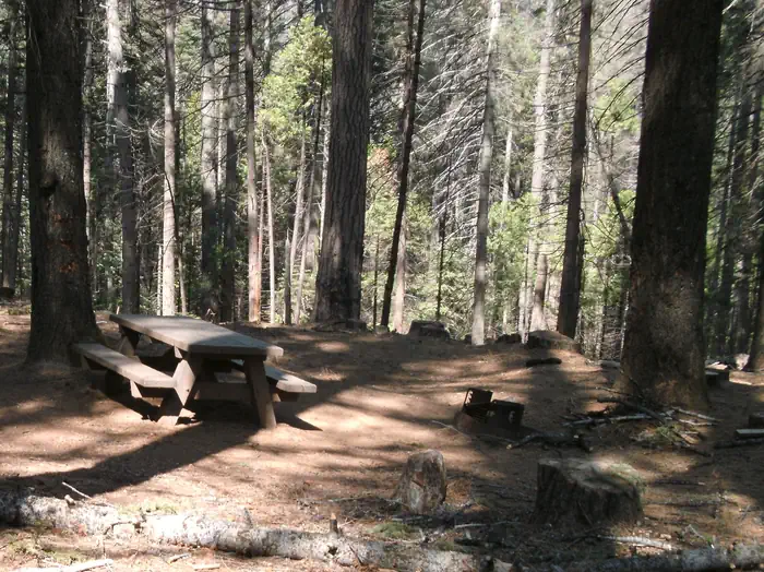 Chilkoot Campground