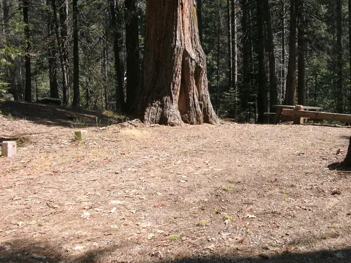 Chilkoot Campground