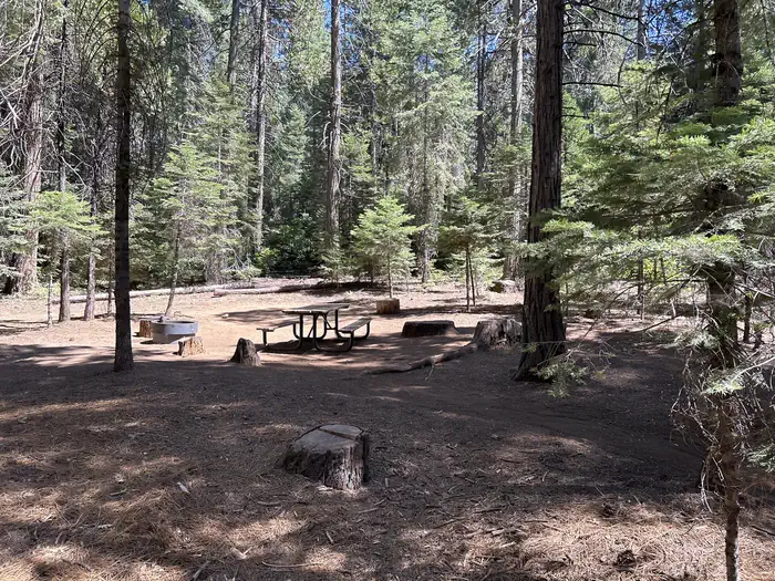 Chilkoot Campground