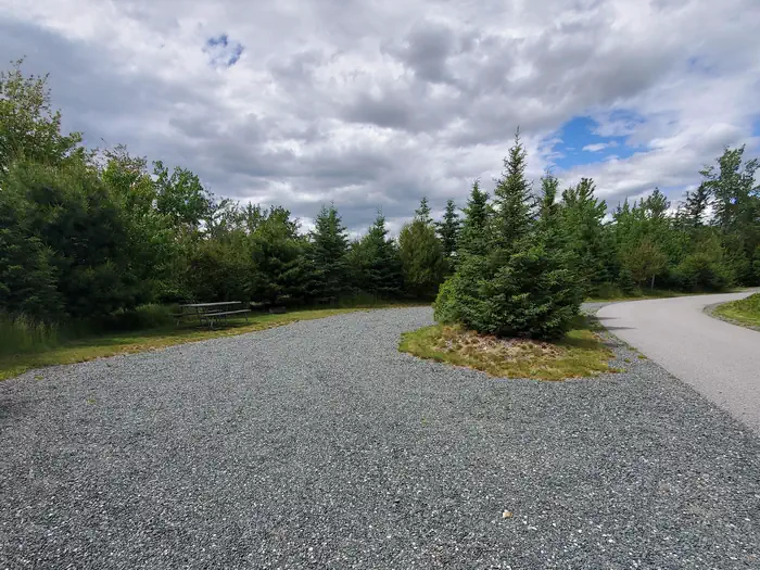 Schoodic Woods Campground