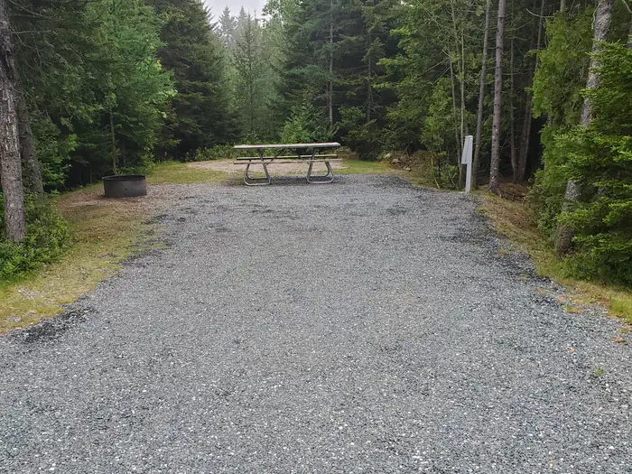 Schoodic Woods Campground