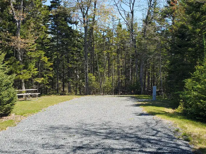 Schoodic Woods Campground