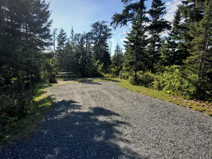 Schoodic Woods Campground