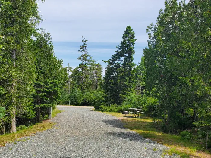 Schoodic Woods Campground