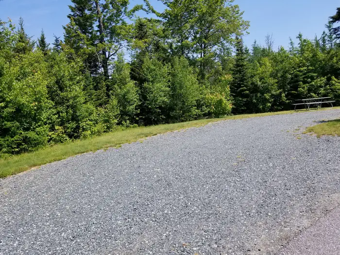 Schoodic Woods Campground