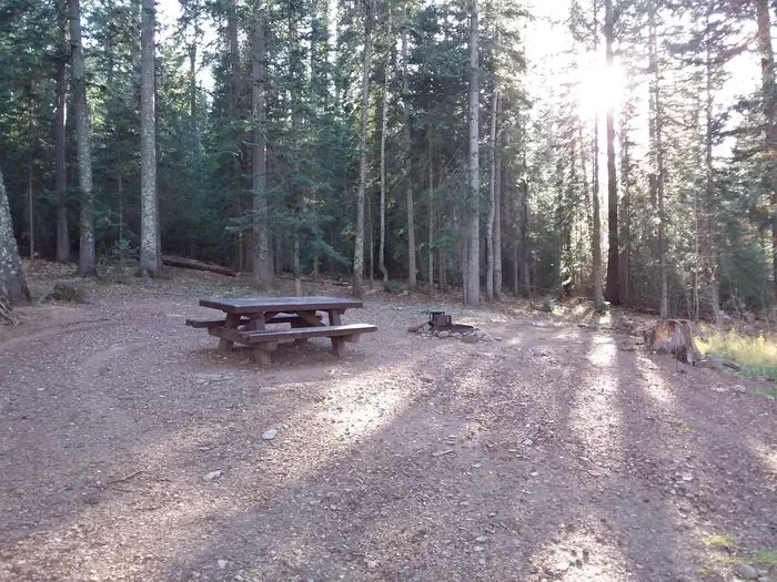 Brook Char Campground