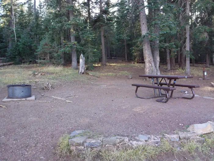 Brook Char Campground