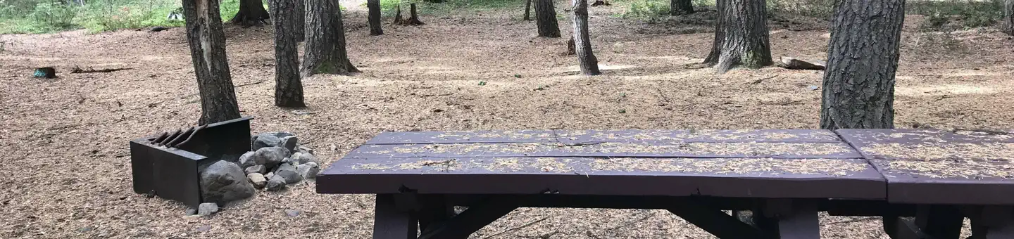 Cultus Lake Campground