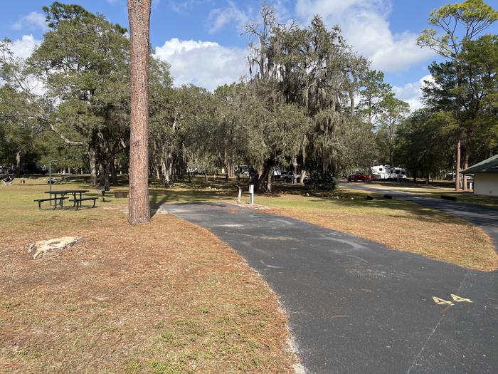 Salt Springs Recreation Area