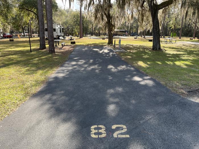 Salt Springs Recreation Area