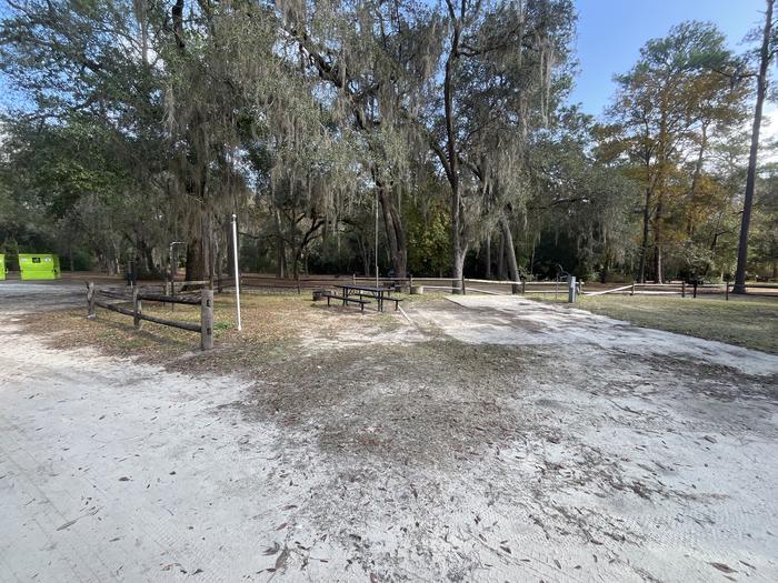 Salt Springs Recreation Area