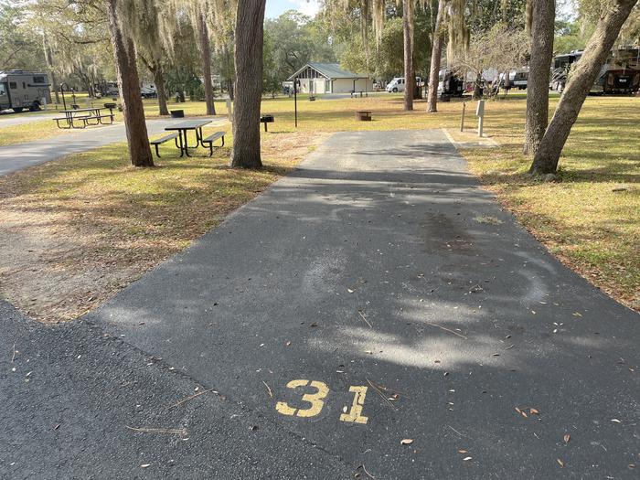 Salt Springs Recreation Area