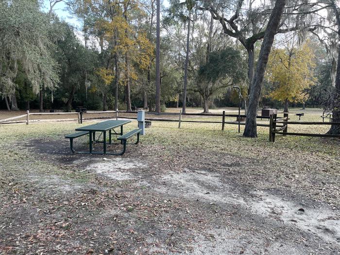 Salt Springs Recreation Area