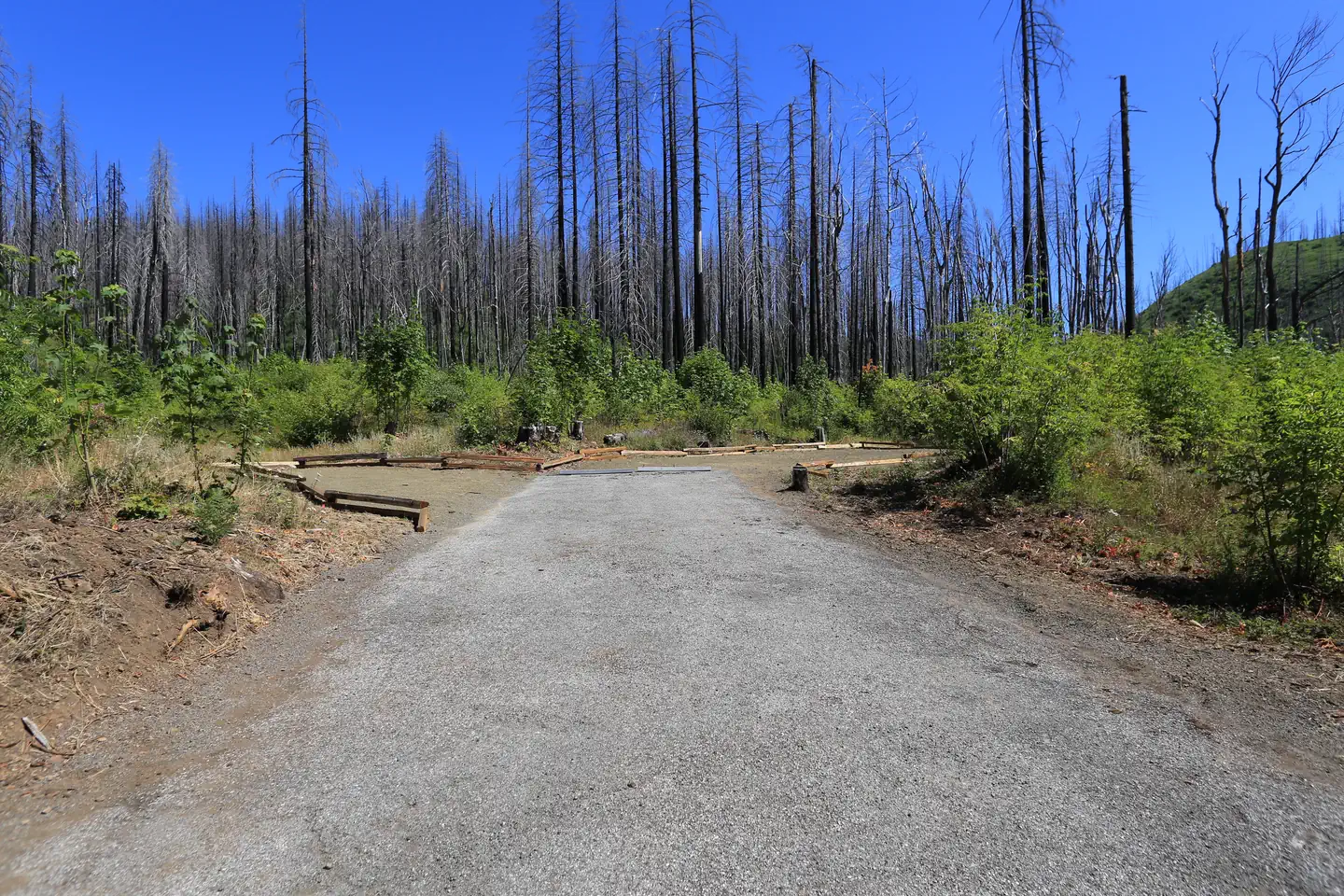 Lone Pine Group Campground