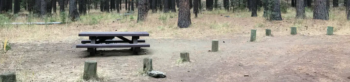 Cold Springs Campground (or)