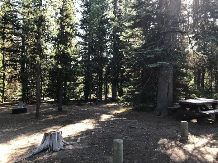 Mallard Marsh Campground