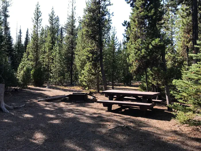 Mallard Marsh Campground