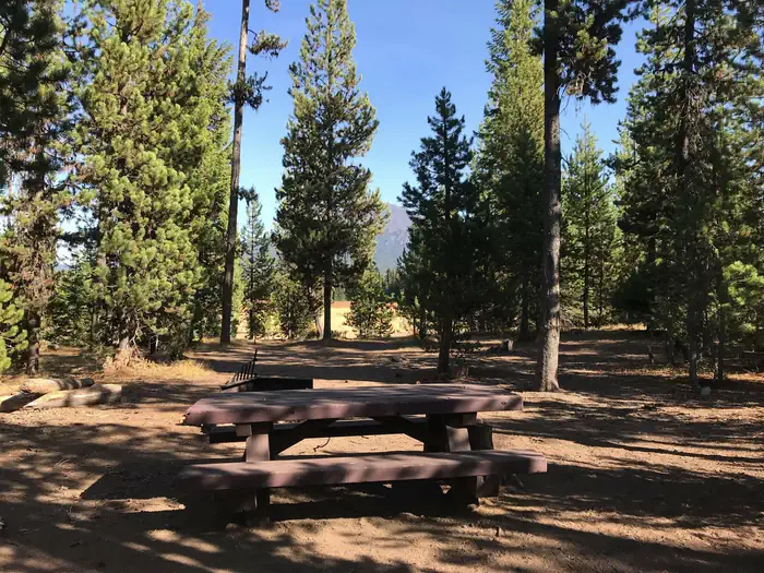 Mallard Marsh Campground