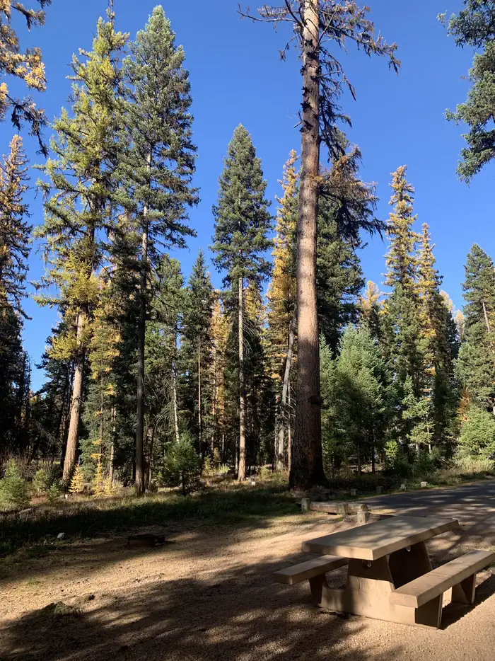 Seeley Lake Campground