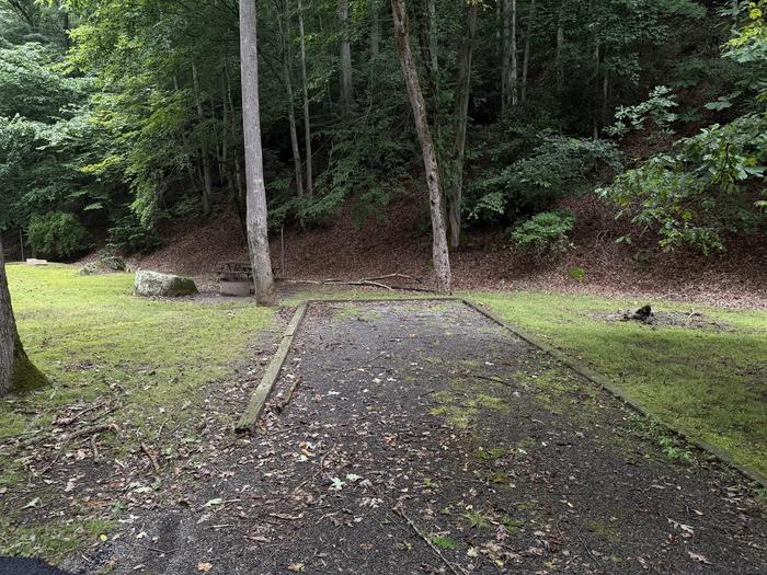 Cranesnest Campground (va)