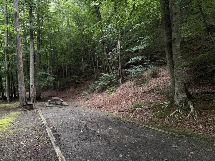 Cranesnest Campground (va)