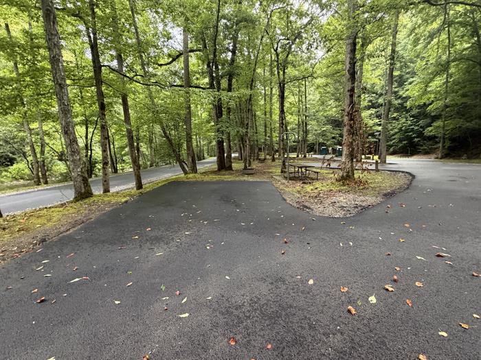Cranesnest Campground (va)