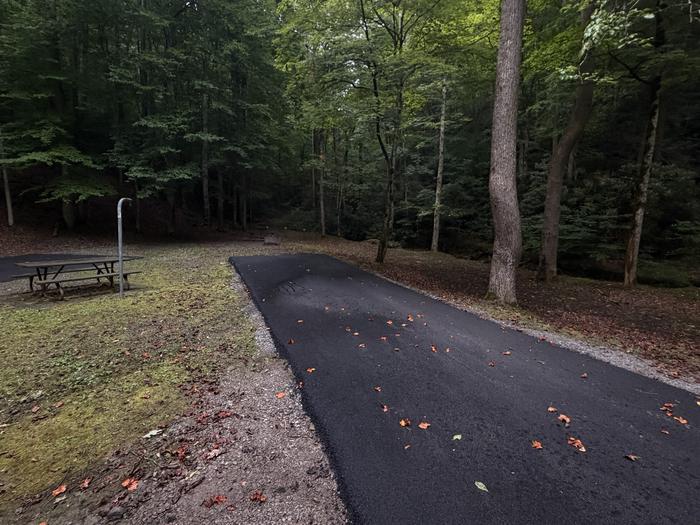 Cranesnest Campground (va)