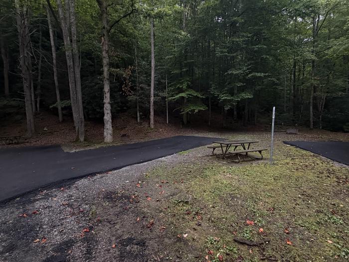 Cranesnest Campground (va)