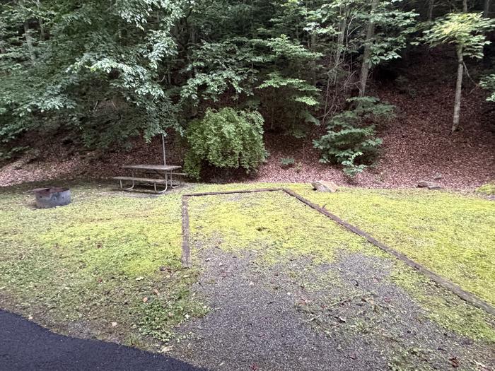 Cranesnest Campground (va)