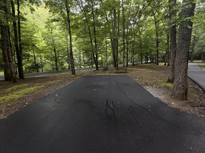 Cranesnest Campground (va)