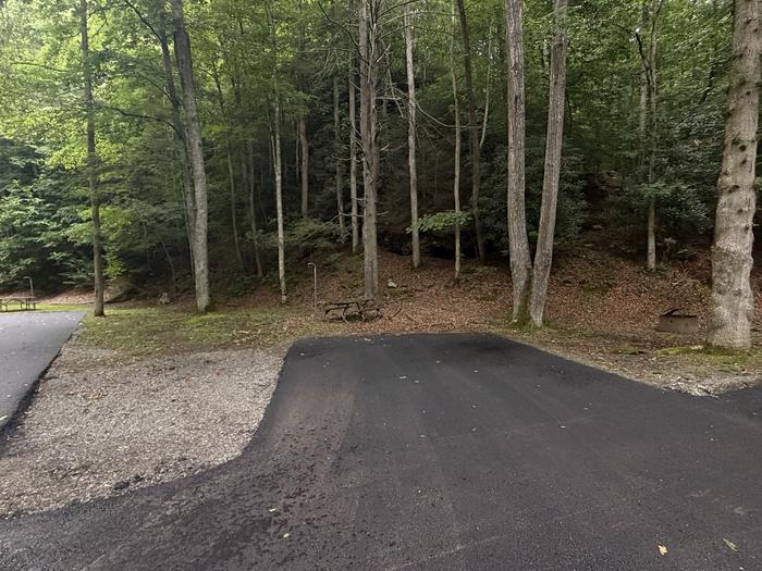 Cranesnest Campground (va)