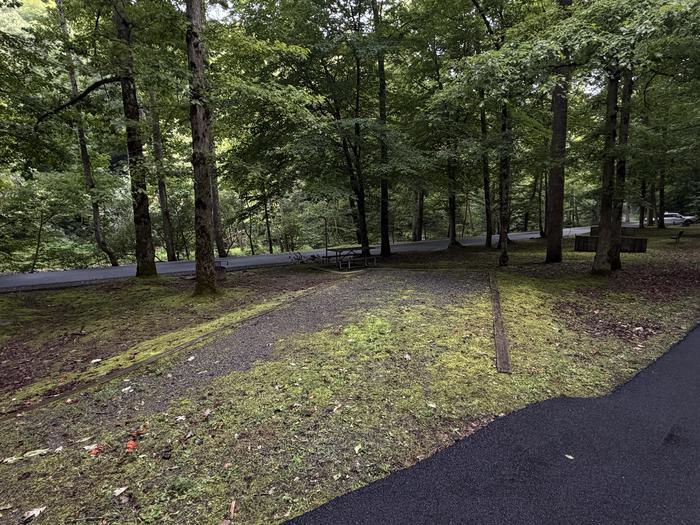 Cranesnest Campground (va)