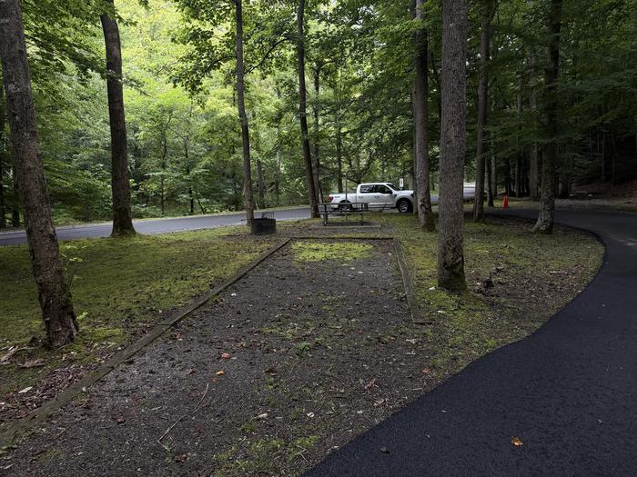 Cranesnest Campground (va)