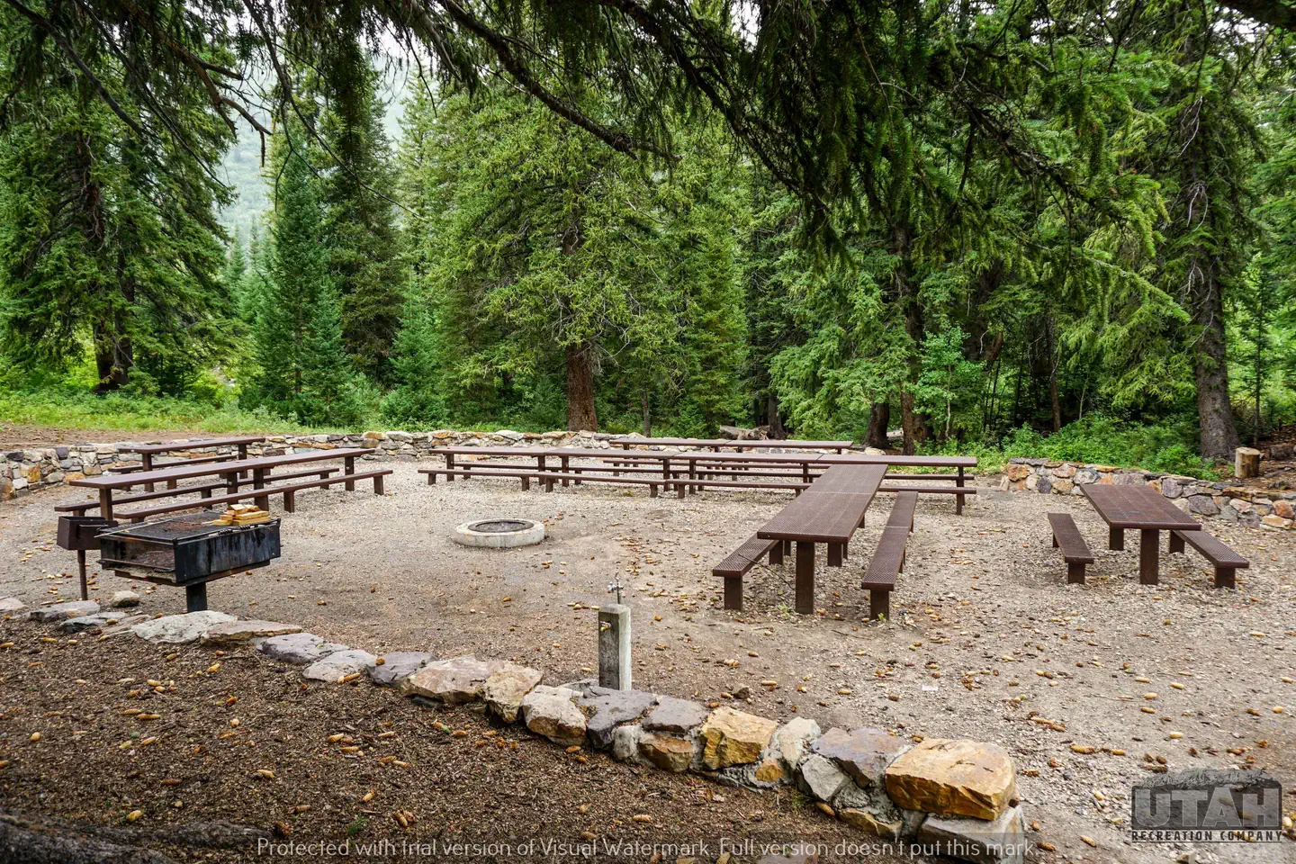 Lodgepole Grove Overnight