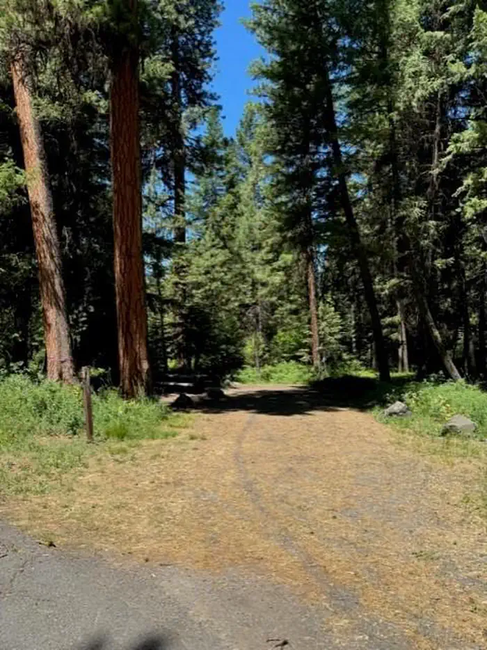 Bull Prairie Campground (or)