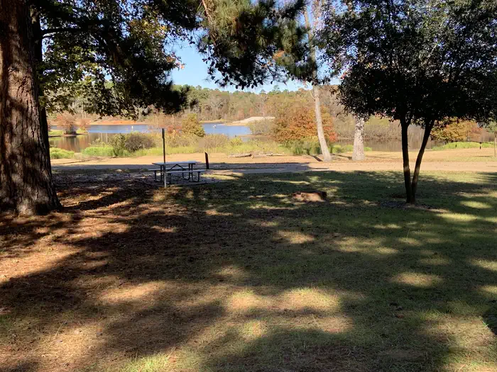 Lake O’ the Pines Buckhorn Creek
