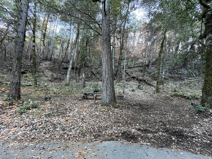 Dillon Creek Campground