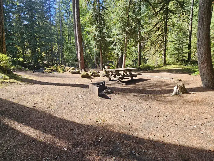 Douglas Fir Campground