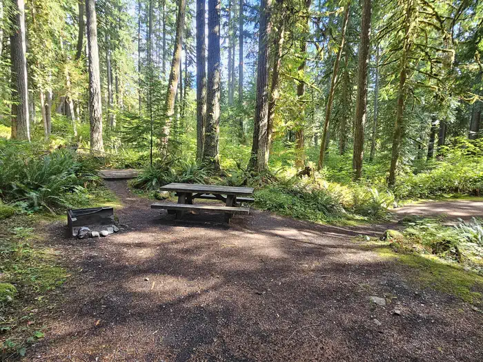 Douglas Fir Campground