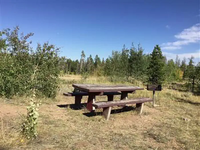 Yellow Pine Campground