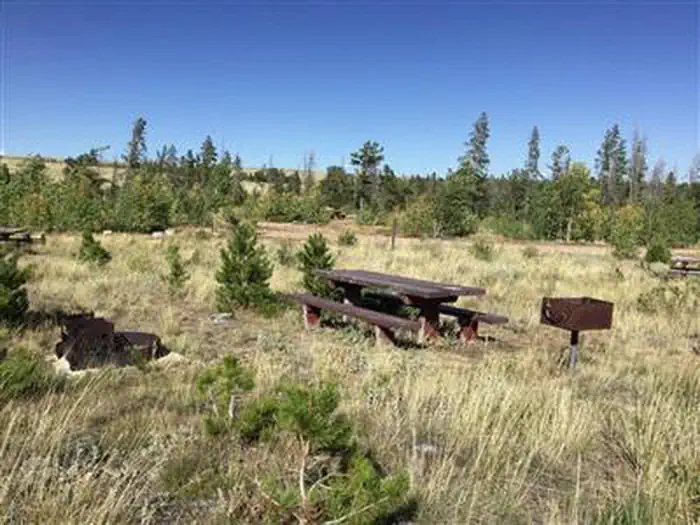 Yellow Pine Campground