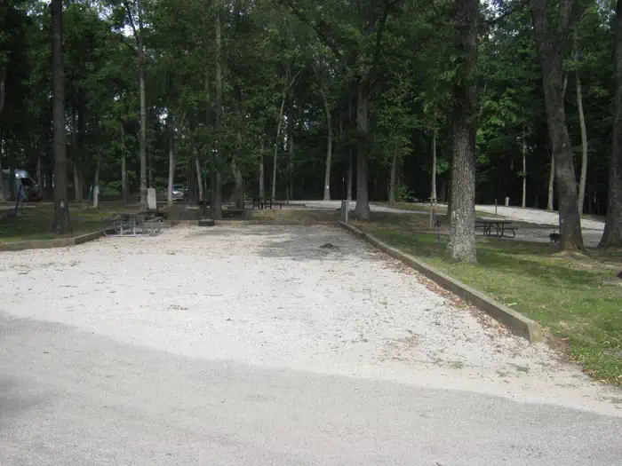 Opossum Creek