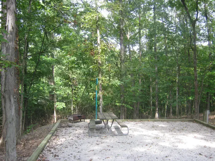 Opossum Creek