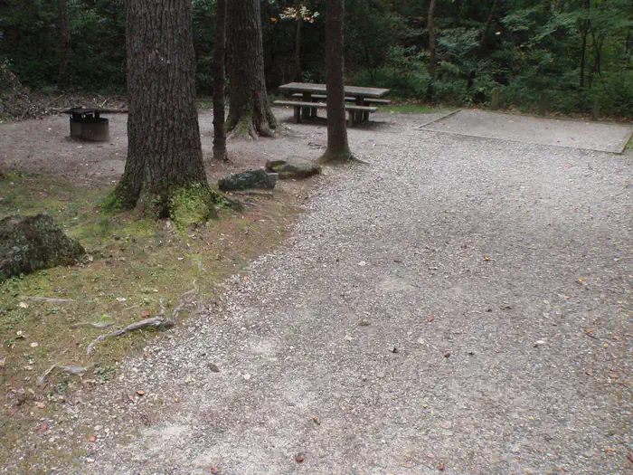 Site 14