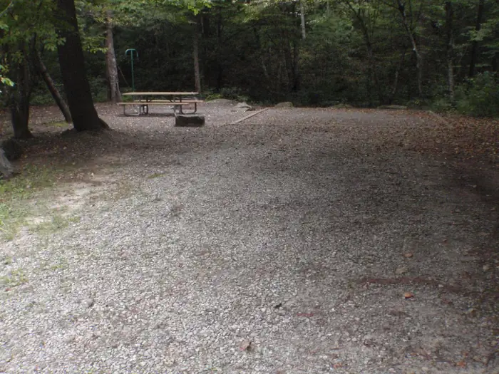 Site 1